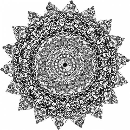 295794071