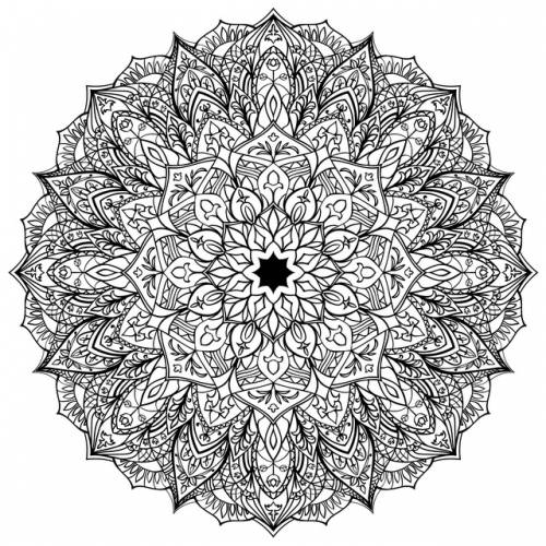 297392891