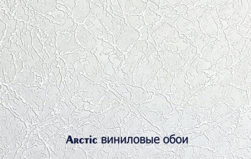 arctic